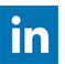 LinkedIn Icon